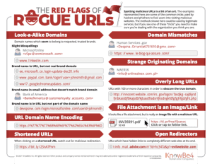 diagram showing the red flags of rogue URLs