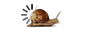 Snail with slow progress loading bar on white background - Concept of slow speed of IT